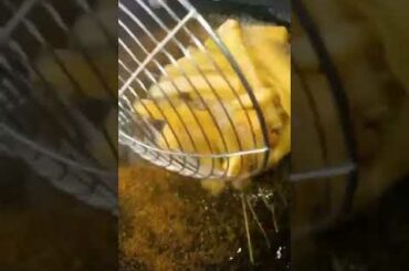 crispy French fries recipe #shorts