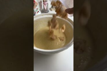 Making a pear & dark chocolate French cake #frenchbaking #chocolate #baking #bakingrecipe #recipe