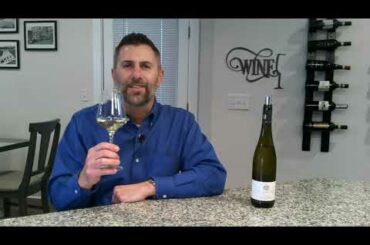 Silvaner - Know Wine In No Time