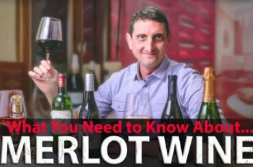 Merlot: Your Essential Guide