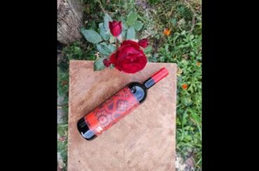 Domaine Wardy - Merlot 2019 Wine Critic