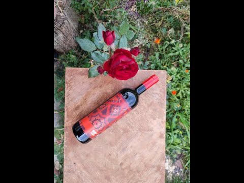 Domaine Wardy – Merlot 2019 Wine Critic Domaine Wardy - Merlot 2019 Wine Critic