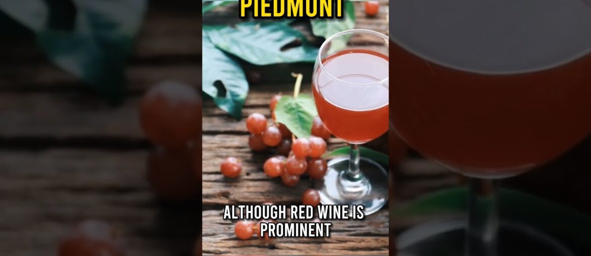 Best vineyards in Europe: Piedmont and Langhe #shorts Best vineyards in Europe: Piedmont and Langhe #shorts