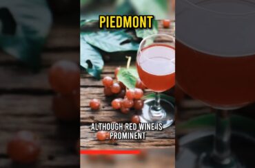 Best vineyards in Europe: Piedmont and Langhe #shorts