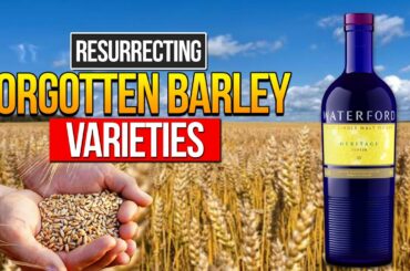 How Irish Whiskey Is Made Using Heritage Barley