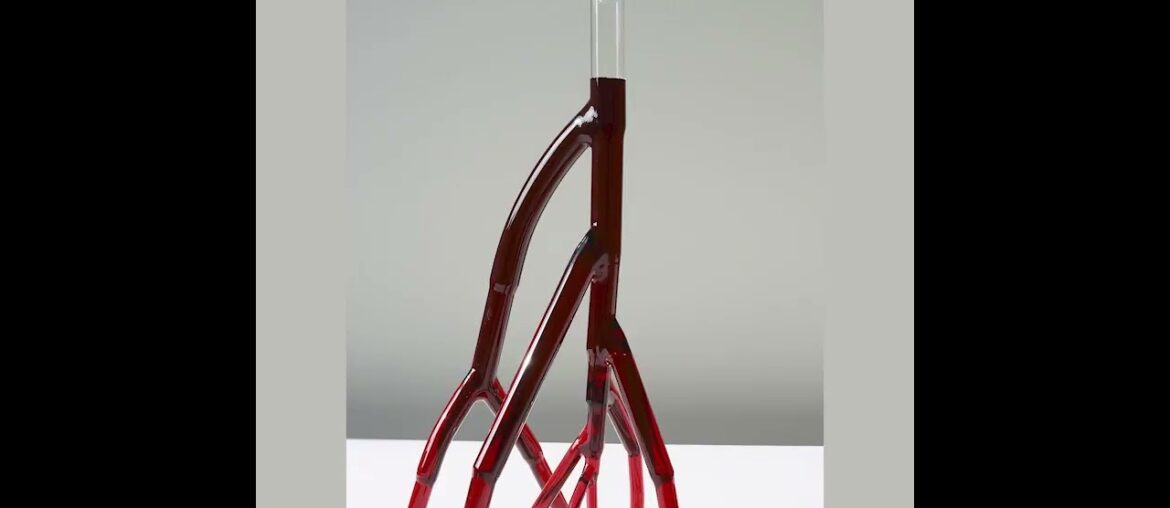 These vein-looking decanters can hold exactly one bottle of wine These vein-looking decanters can hold exactly one bottle of wine