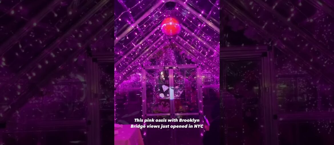 This over-the-top Pink Dining Destination With Brooklyn Bridge Views Just Opened in NYC #shorts