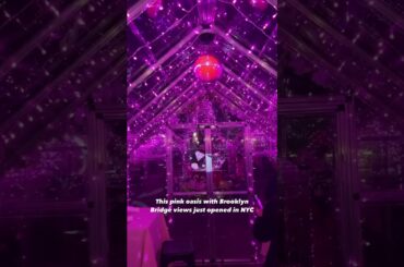 This over-the-top Pink Dining Destination With Brooklyn Bridge Views Just Opened in NYC #shorts