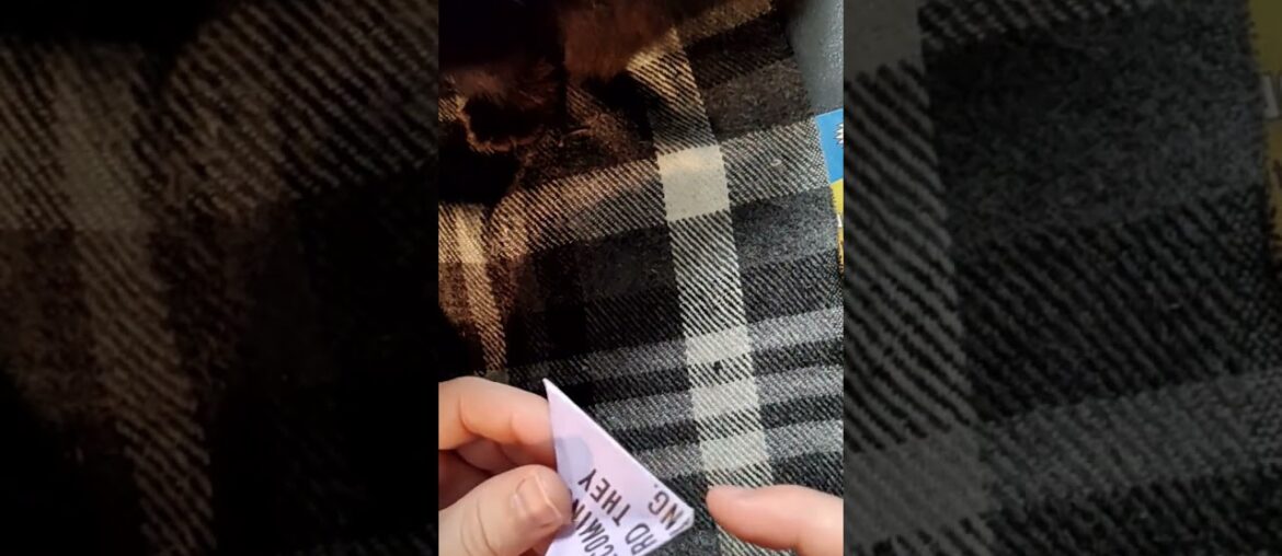 Lazy Star Wars Fighter, NWO: New World Origami, Part 6: Wine Whores