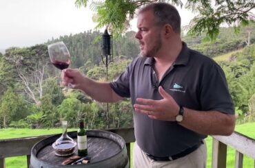 Wine Review: Chateau Ormes de Pez Saint-Estephe 2019