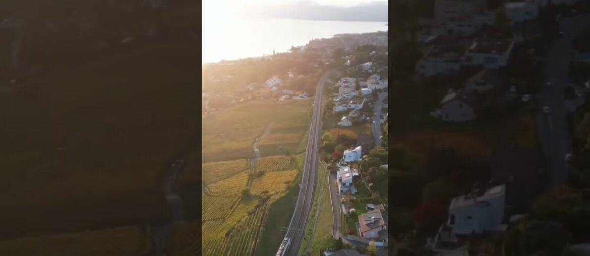 Lavaux, Switzerland #europe #swiss #travel #drone #foryou #wine #french #vineyard #shortvideo
