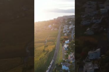 Lavaux, Switzerland #europe #swiss #travel #drone #foryou #wine #french #vineyard #shortvideo