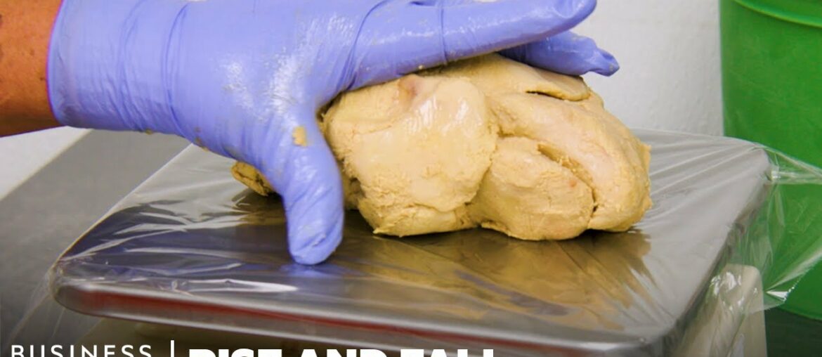 How Foie Gras Went From Luxury To Controversy | Rise And Fall How Foie Gras Went From Luxury To Controversy | Rise And Fall