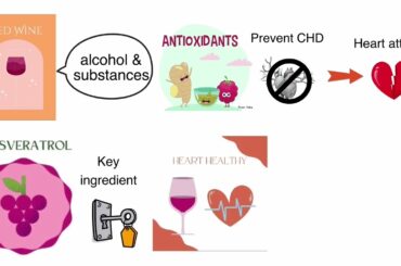 The French Paradox II