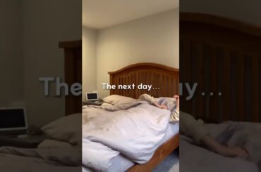 FRENCH TOAST BAKE #cooking #food #trending #viralfood #short #shorts