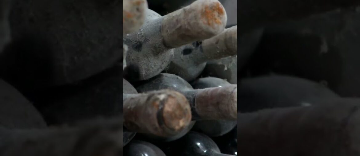 This is the LARGEST WINE CELLAR in the World!!!! and it's in… MOLDOVA #shorts This is the LARGEST WINE CELLAR in the World!!!! and it's in... MOLDOVA #shorts