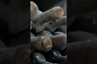 This is the LARGEST WINE CELLAR in the World!!!! and it's in... MOLDOVA #shorts