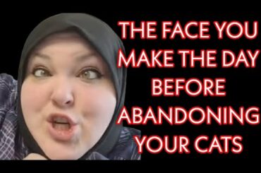 Foodie Beauty Is Abandoning Her Cats Tomorrow