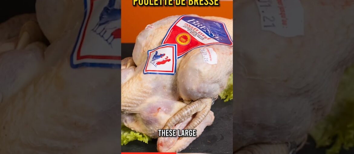 Best French Food: Poulette De Bresse in Lyon #shorts