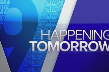 Best wine and pizza pairings for Super Bowl Sunday