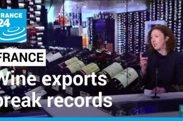 Winemakers' crisis: French wine exports break records, consumers turn away from red wine