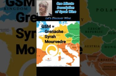 Feb. 16 Intl. Syrah Day @Let's Discover Wine (114b) #syrah #syrahgrapes #syrahwine #shiraz #shorts