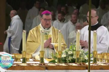 International Mass on the Feast of Our Lady of Lourdes - 2023-02-11 - International Mass on the Feas