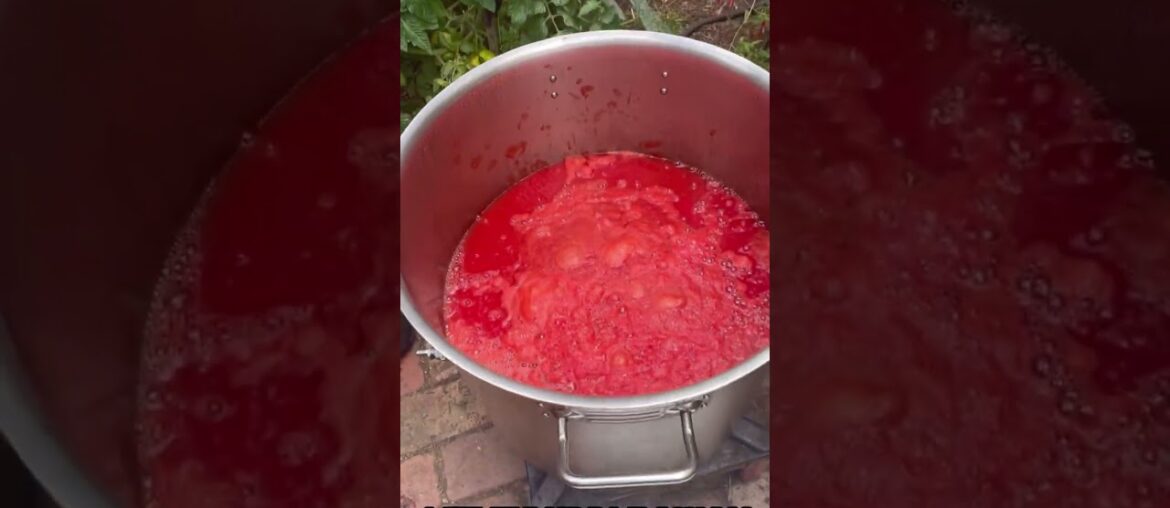 1 day, 100 bottles of Passata