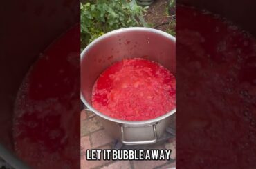 1 day, 100 bottles of Passata