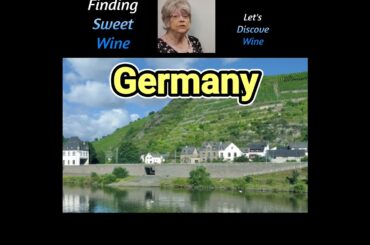 Do you like Sweeter Wine? @Let's Discover Wine #wine #sweetwine #sweeterwine #Germanwine #Shorts