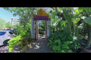 Muguet Cafe is a charming coffee shop located in Pattaya, Thailand.