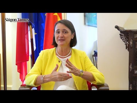 Vietnam, France to develop ties in all sectors Vietnam, France to develop ties in all sectors