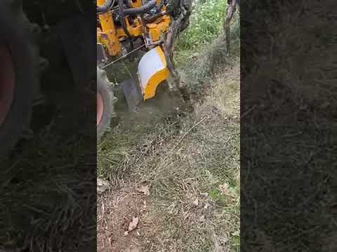 Under Vine Mower || Made By CELLIER BOISSET France || #shorts Under Vine Mower || Made By CELLIER BOISSET France || #shorts