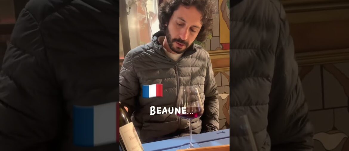 Traveling in France #funnyshorts #humor #travelvlog #funnyvlog #france #winetasting #burgundy