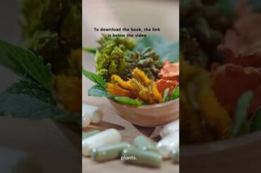 The wonderful book (French Natural Remedies & Recipes from Beautiful Tasmania)