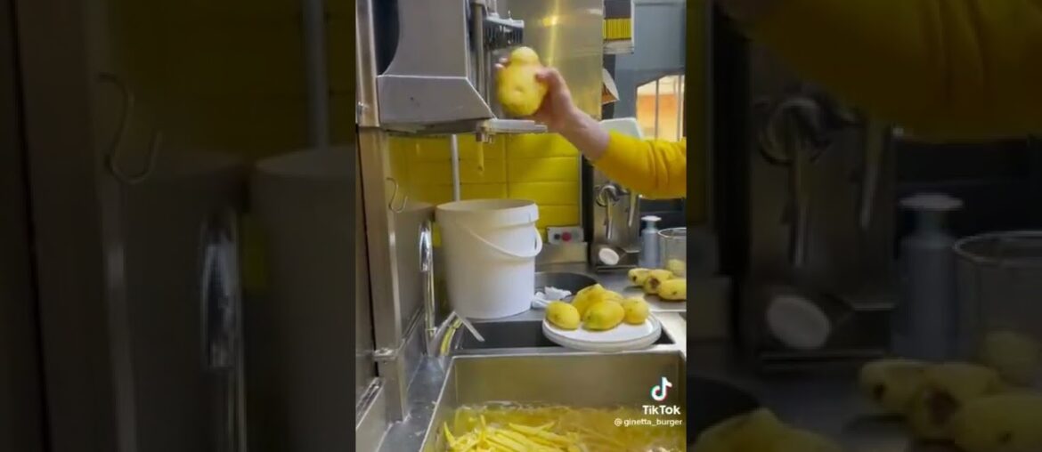 Awesome French Fries cutter