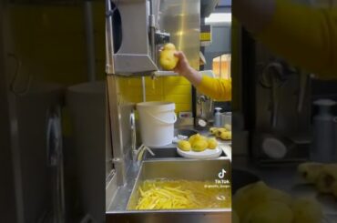 Awesome French Fries cutter