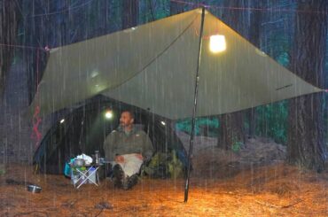 Camping in Heavy Rain - Pine Forest
