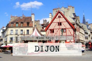 Wine Trip Part I - Dijon, France