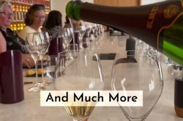 Champagne & Burgundy Sparkling Wine Adventure