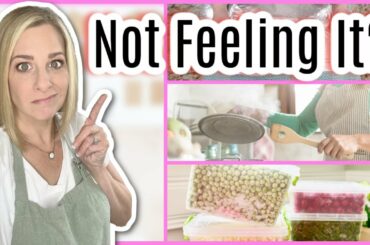 When You Don't Have Time To Cook, Prep & Have Picky Eaters, Try These Tips!