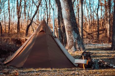 Camp Dinner ASMR-steak, french beans, potatoes over the stove #shorts #bushcraft #camping #outdoors