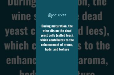 The Meaning of Disgorging in Wine Making: Discover the French Secret #shorts