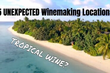 The 5 Most Unexpected Winemaking Locations!