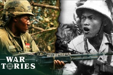The Human Cost Of The Vietnam War | Jungle War | War Stories
