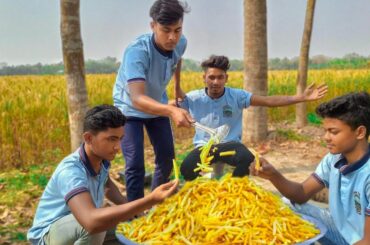 FRENCH FRIES | Crispy French Fried potatoes Recipe Cooking by Youngers in Village for Village Childs