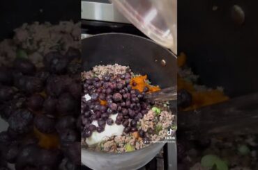 Preparing French Bulldog Gourmet Food !!!