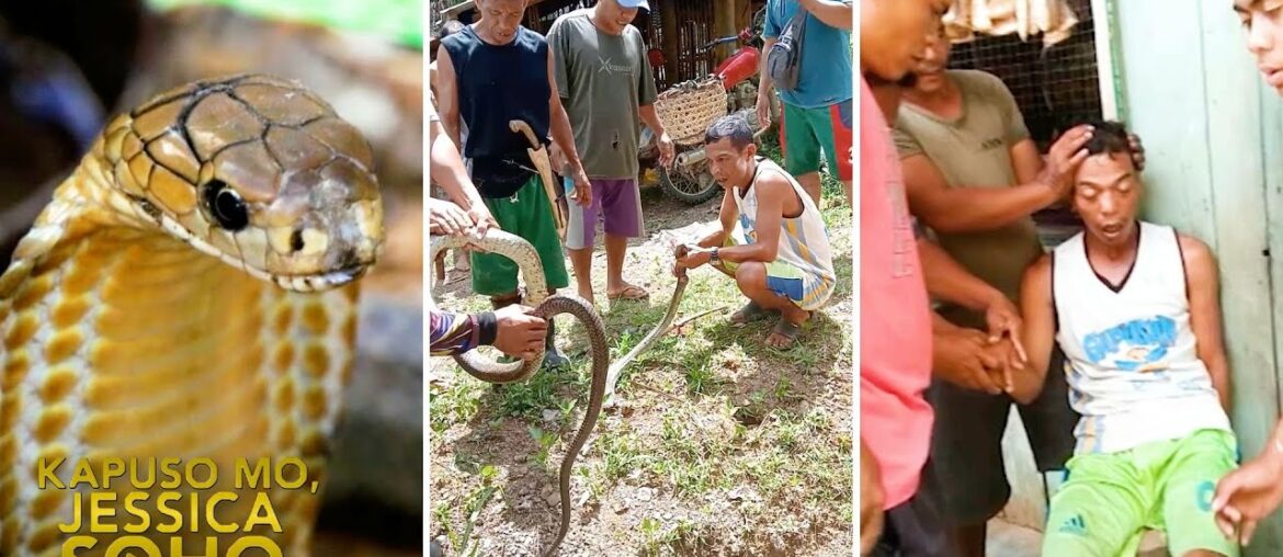 Lalaki, namatay matapos malason ng kamandag ng isang patay na king cobra?! | Kapuso Mo, Jessica Soho Lalaki, namatay matapos malason ng kamandag ng isang patay na king cobra?! | Kapuso Mo, Jessica Soho