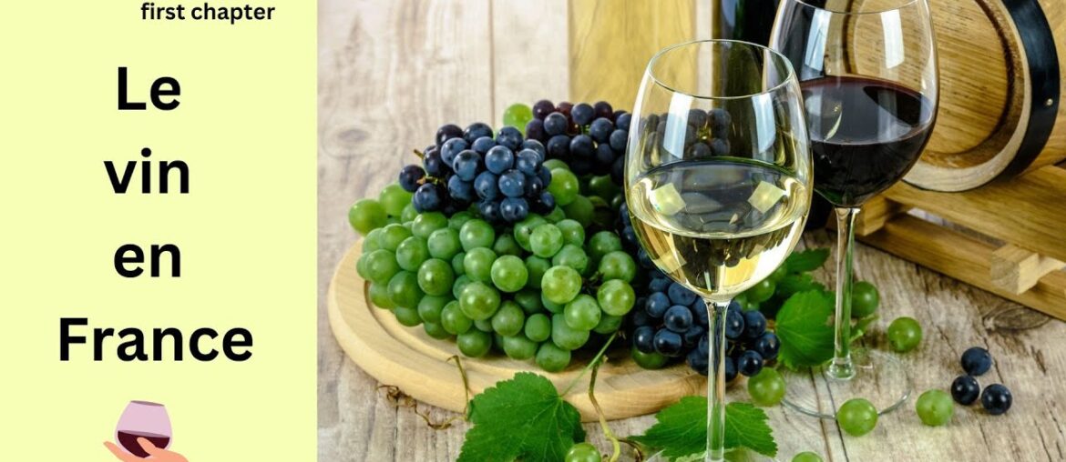 French wine, do the French drink wine every day? what are the wine regions? DELF B1 DELF B2 DELF C1 French wine, do the French drink wine every day? what are the wine regions? DELF B1 DELF B2 DELF C1