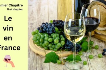 French wine, do the French drink wine every day? what are the wine regions? DELF B1 DELF B2 DELF C1